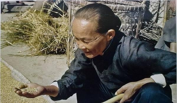  「镜头」美国飞虎队镜头下1945年的中国农村