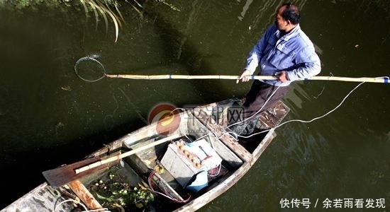  秸秆■2019年，农村这四件事可能会严查，跟每个家庭有关，早准