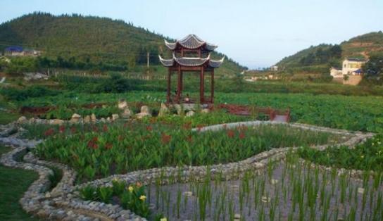 中国这个村庄靠捡石头挣钱，一块石头能卖几十万，买房买车都靠它