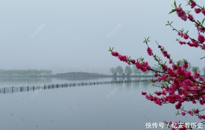 『诱鱼』有效钓鲫鱼的3个办法,做窝补窝和调钓,和应对技巧