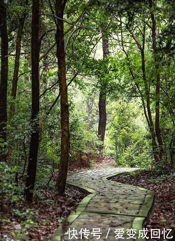 假期必来！这条人少景美的山间公路，私藏了初秋最小众的绝美风光