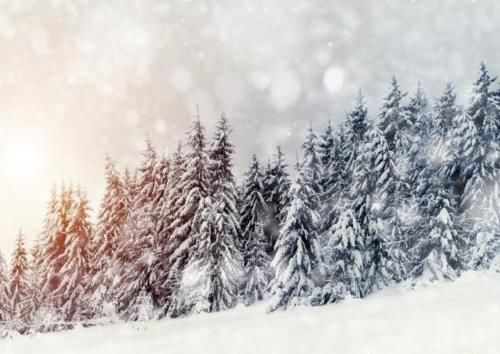  【冬天】立冬到了，立冬是冬天开始的意思吗？今年是冷冬吗？答