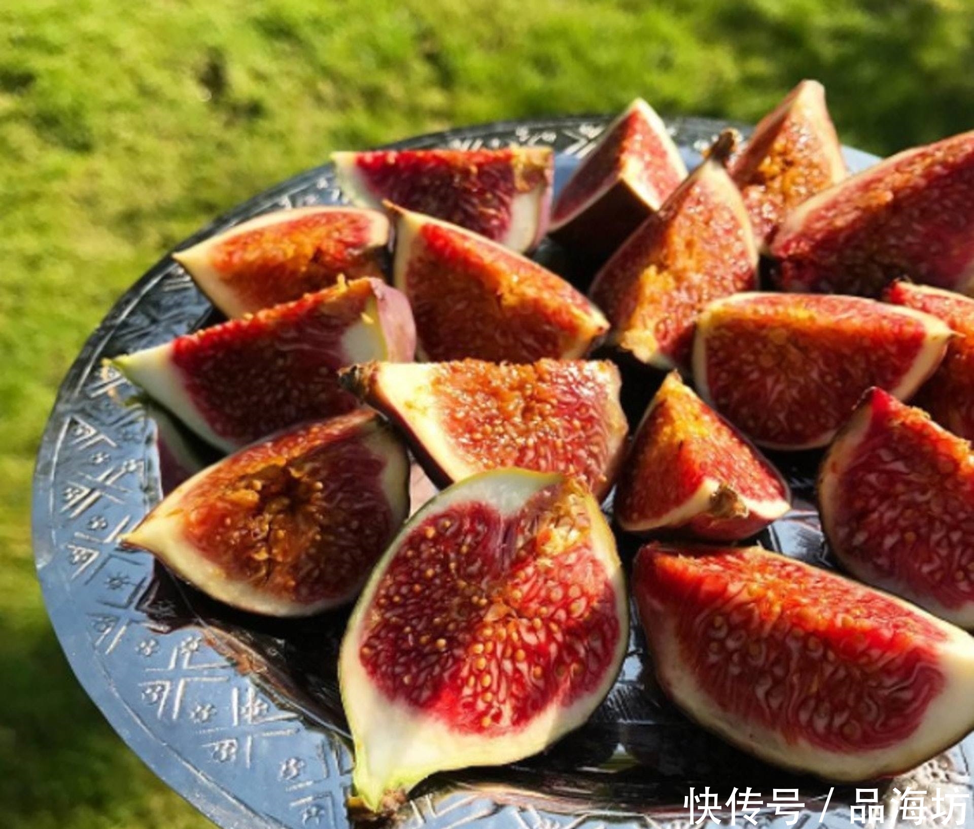  [现如今]世界上投产最快的果树，现如今大量种植没销路，每天烂