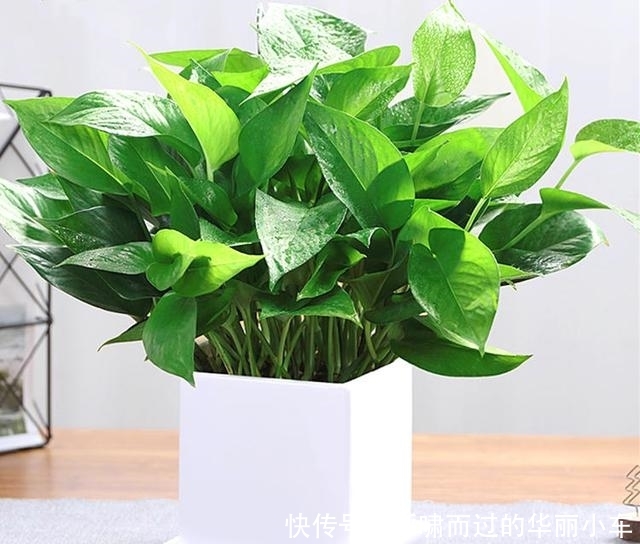  【感觉】给房间一点颜色 用冷色调去除燥热