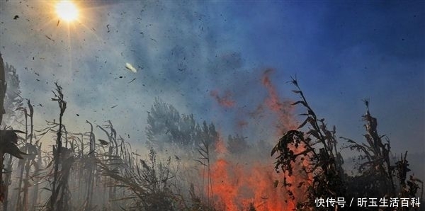  「秸秆」中秋后，村干部迎重点任务，2件事管不好要受罚，甚至取