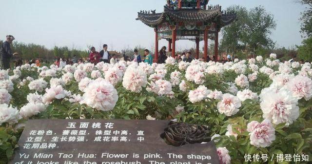 山东省城市之最系列