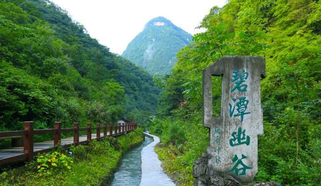 隐藏在南川的绿野仙踪，避暑旅游，清凉打卡不容错过！