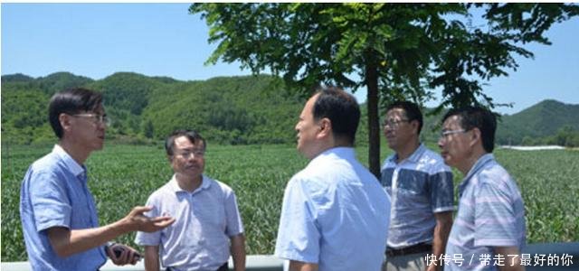 下半年农村这些东西都要上涨了，村民要提前做好准备了！