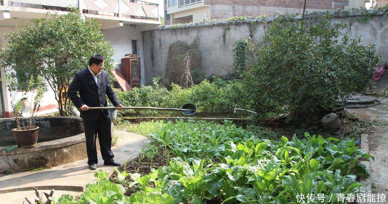  「不占用村」继禁止私搭乱建后， 墙外种菜或将被禁，农民不解，为啥不让种！