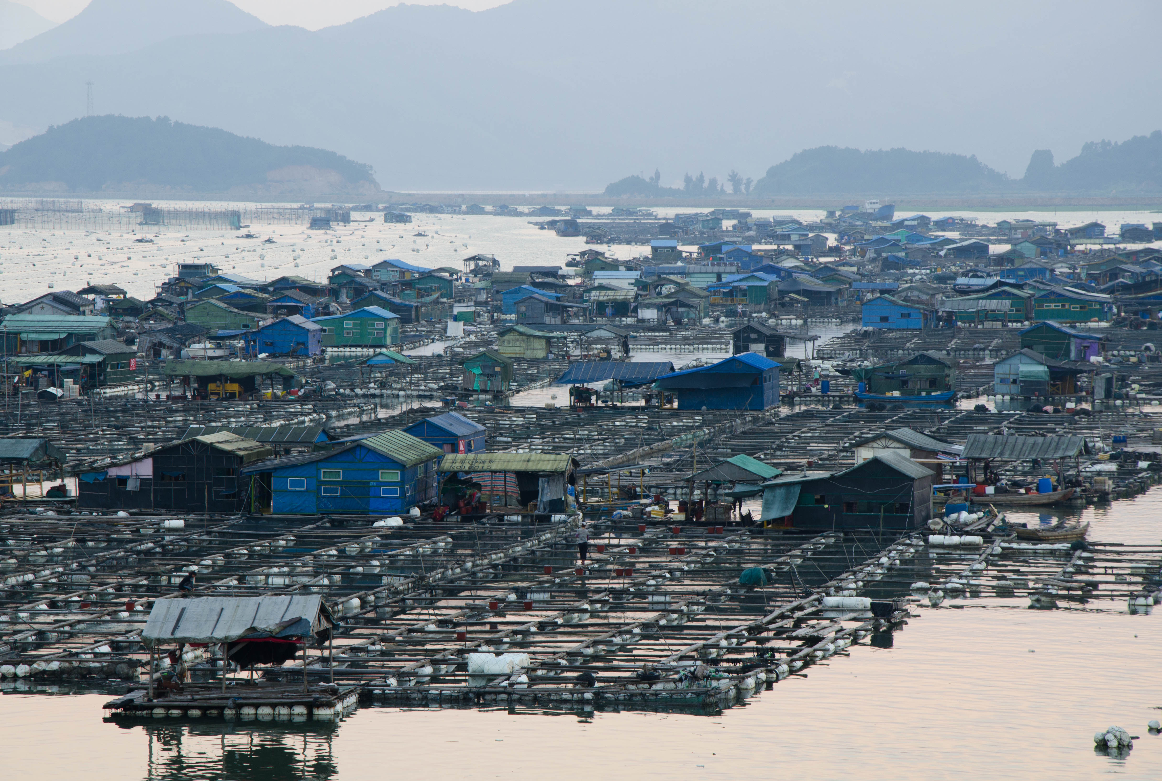 霞浦，只为了那一抹光彩