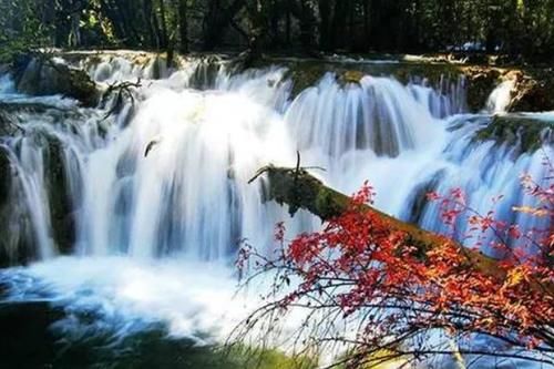 和九寨沟差不多美丽的景区，游客却很生气，捆绑销售让游客很无奈