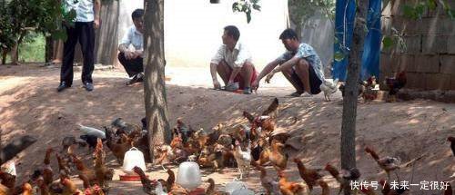 养殖户注意了明年起禁止这些养殖户经营，违者将有可能罚款