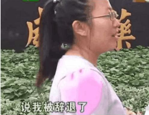 女子因饭菜不好吃发朋友圈遭公司辞退, 副总: 这么懒的人活该