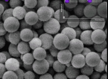  「提供的信息」实验室各种仪器的分析原理，测试方法动图详解