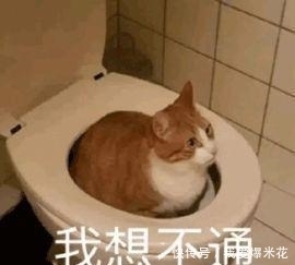 时髦:知道|旧衣服别再扔了,知道值多少钱吗