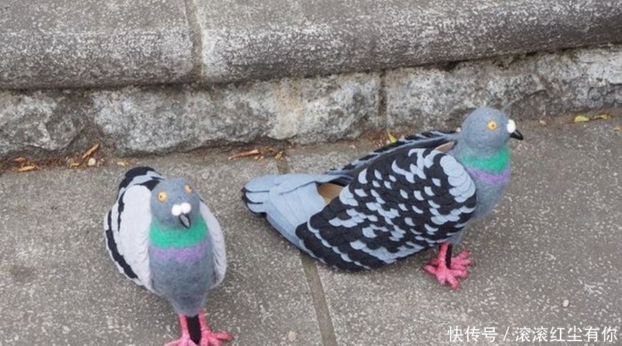 大妈|女子穿自制高跟鞋喂鸽子,老人看到后,以为她在虐待鸽子
