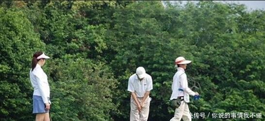  深圳@看完德国的富人区，再看中国的富人区，一个住富豪一个住土豪