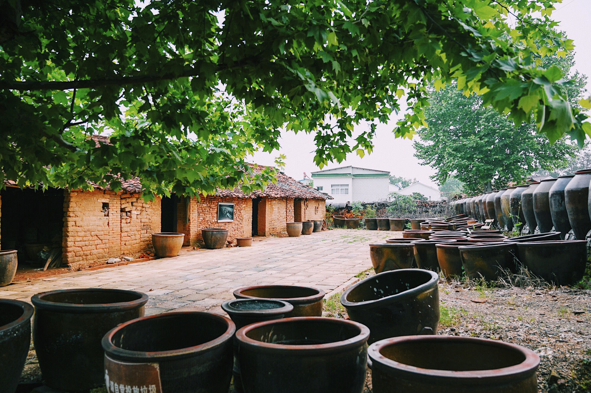 走进北纬30°的天柱山，一处风光秀丽又神秘的地方