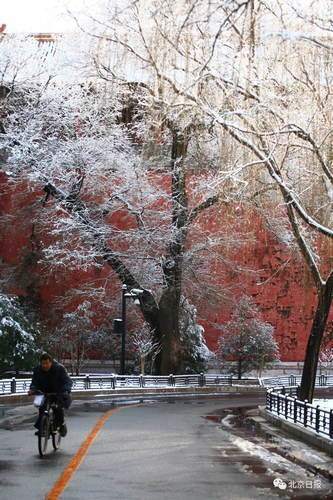 大年初三北京要下雪？这些赏雪好去处先收藏
