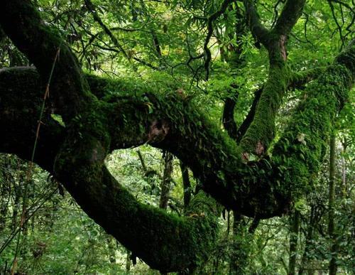 世界三大“不可知”之地，中国有一处，最后一个政府禁止游人靠近