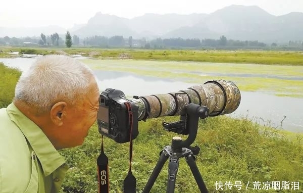 萌!“鸟中熊猫”抢鱼吃