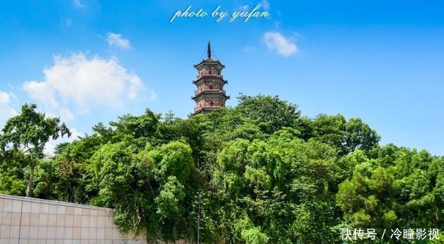  #恐龙蛋化石#世界上恐龙蛋最多的地方竟然就在广东，密密麻麻，