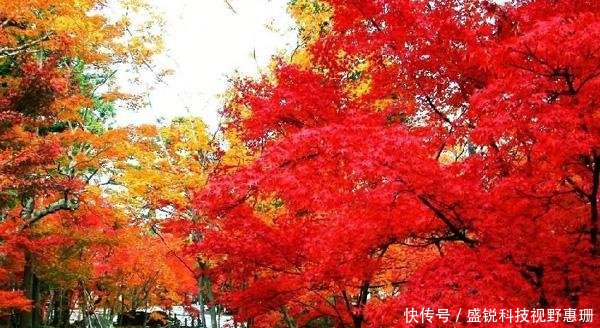 秋天，哪里在你的心里最美丨北京的这个地方，来过的人都喜欢