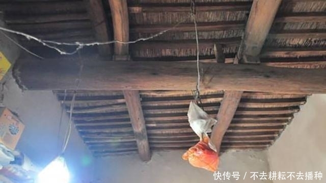  「小贩」为什么很多人到农村收旧房梁，“烂”木头有啥用？看完