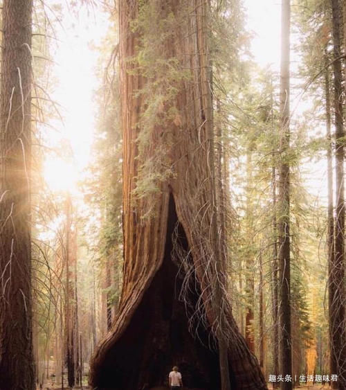 14张不可思议的照片，证明大自然比想象中更独特