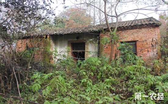 2019年村民申请宅基地要满足那些条件？申请不到的情况有有哪些？