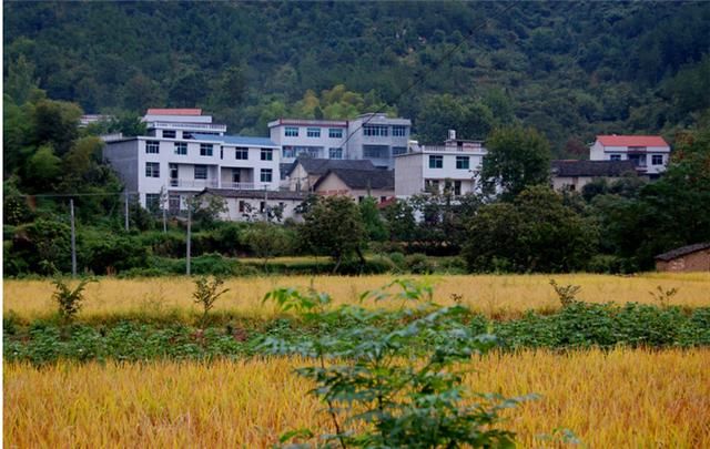 农村的这几个奇怪现象，反映农村的现状，让人无奈