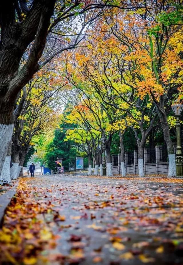 金秋十月遇见最美的风景，中国最美的8处秋季旅行目的地值得一去