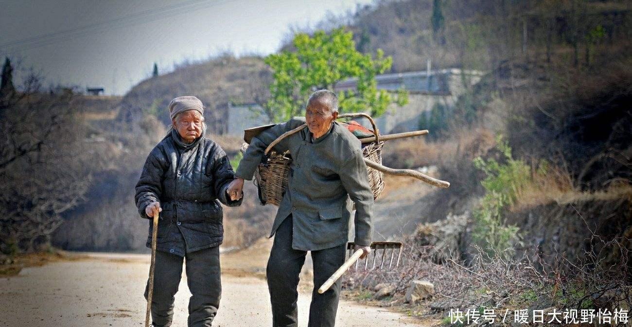 近年农村，“离别养老”怪象正上演，村村都有，农民该由谁来管