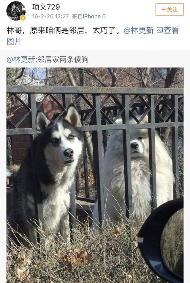 林更新澄清谣言，他算不算娱乐圈遭遇最搞笑离奇的明星了