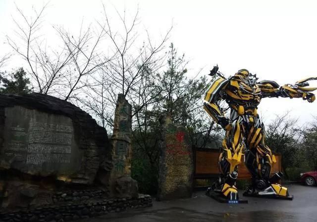 一起出发吧为什么看不了