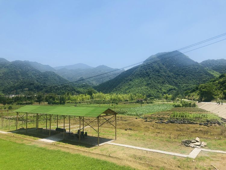 安徽有个来了就不想走的小渔村,过原始生活,吃李白最爱的一道菜