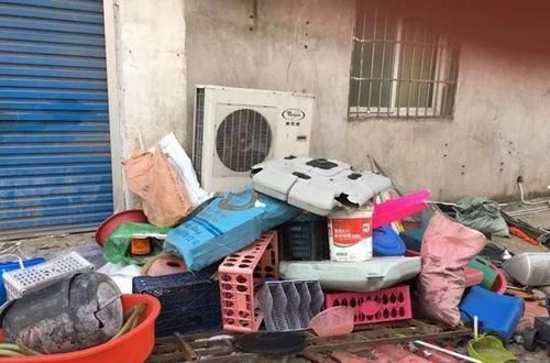  【图片作者】自从开始养花，看到垃圾堆都忍不住瞄两眼，捡到就是赚到！