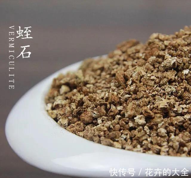 【多肉的时】多肉“铺面”的那些事儿