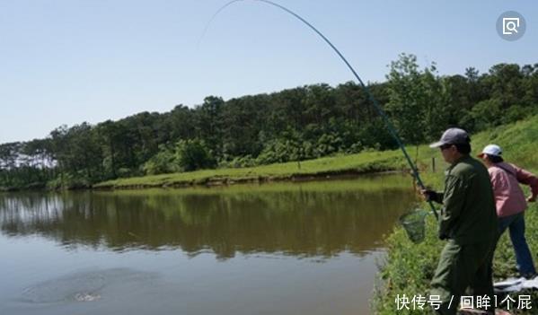  『红虫』红虫怎么才能保存的鲜活长久，看钓鱼老司机如何破解这个难题！
