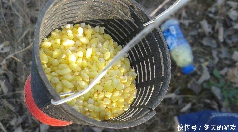  颗粒比较小：打窝来鱼快？还是搓饵抽窝来鱼快？懂了上鱼更快