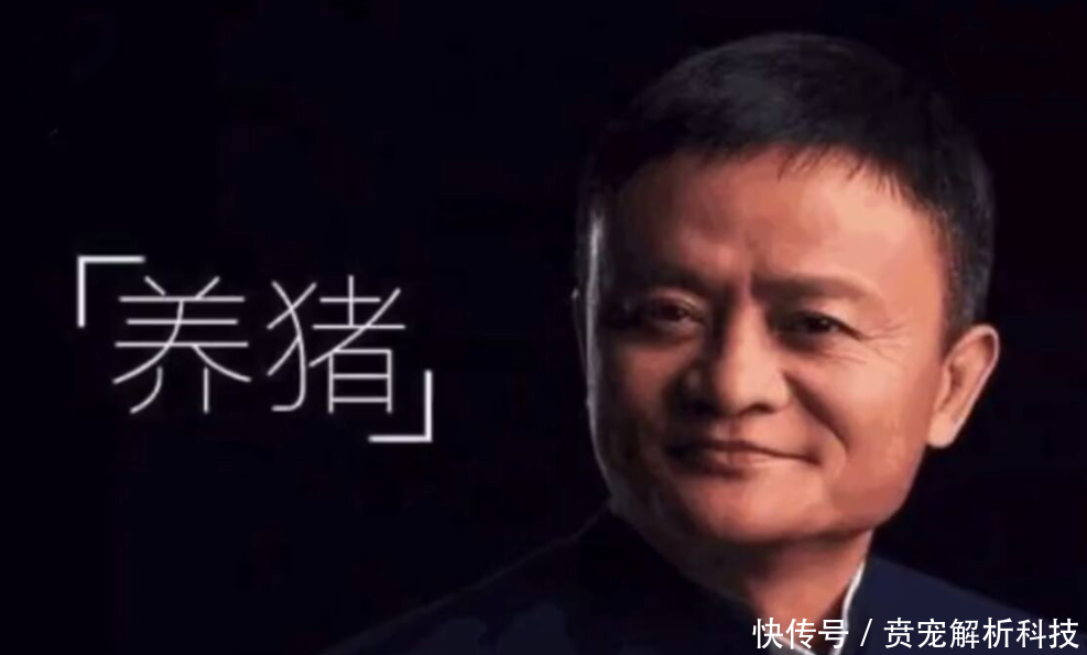 科技大佬的争当农民:马云丁磊养猪、刘强东养