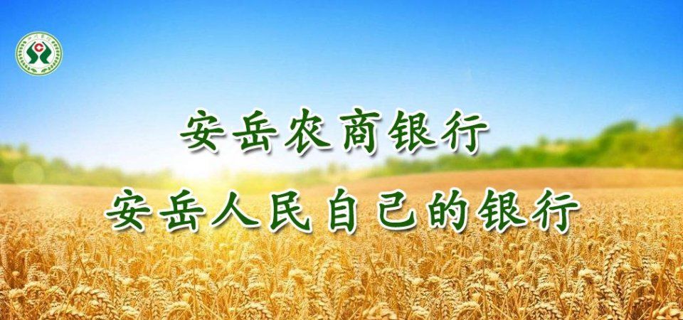 扫二维码就可缴违章罚款?有人差点上当!民警:假的!不可信!