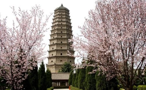 游客埋怨“法寺门”宰客，直言不会再来！法寺门：门票钱不是我们