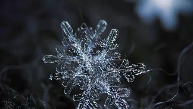 雪花摄影，9年专注于拍摄雪花，他拍摄出最美的雪花照片