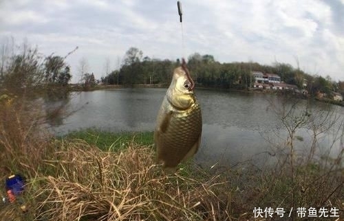  [小编]扎堆钓鱼也叫安全？请管好你的家人，别再出门钓鱼了，外面很危险