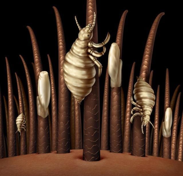 如果说你脸上有十万“螨虫大军”你信吗？