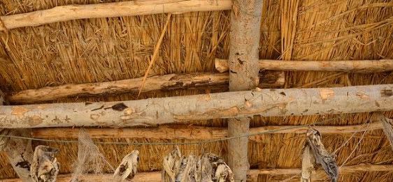 我国的这个民族世代生活在沙漠里，职业却都是“渔民”！