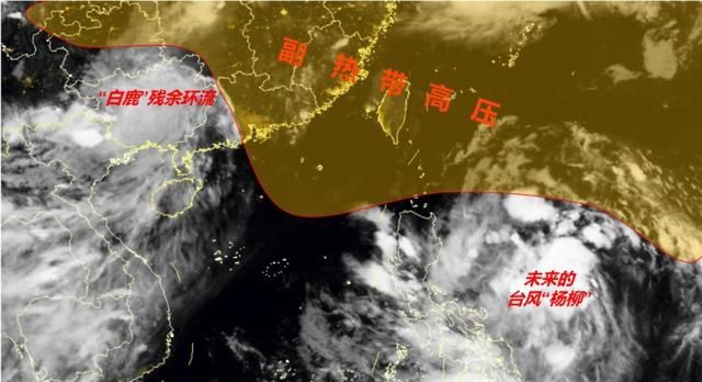  「白鹿」白鹿刚死，杨柳又来，12号台风“杨柳”即将生成，又对