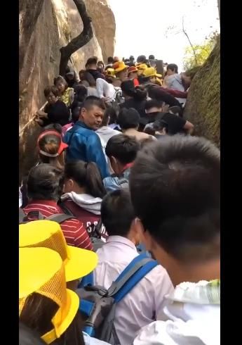 十一画像：我太难了，“卡”在景区山腰，上下山排队各3小时
