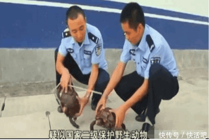 男子发了一条朋友圈 一小时后警察上门抓走了他的父亲 网友: 坑爹